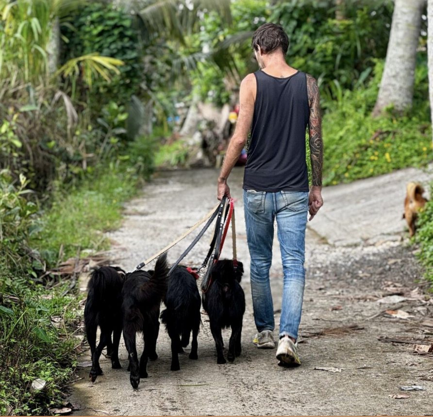 Stephan Mairesse walking four dogs on leash down a tropical path