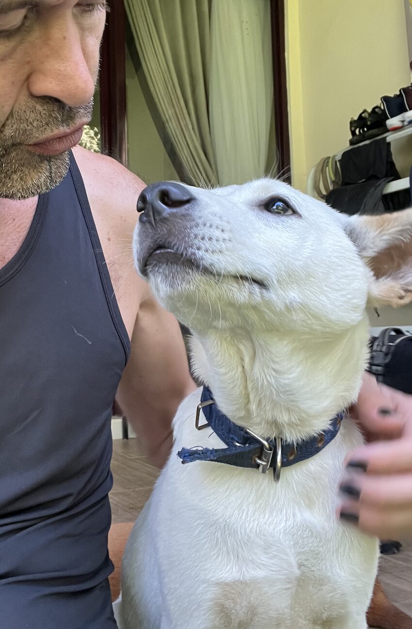 Stephan Mairesse close up with a white dog looking up