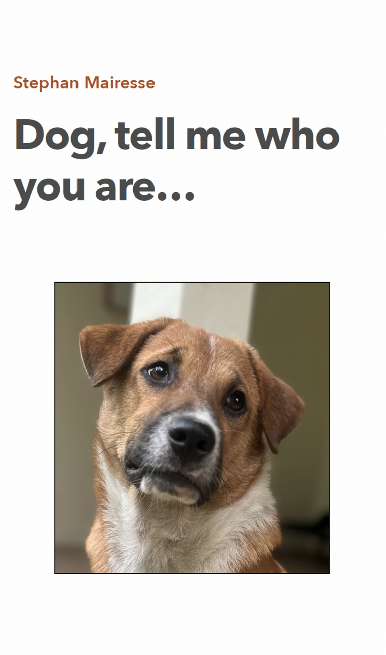 Dog, tell me who you are... — book cover by Stephan Mairesse