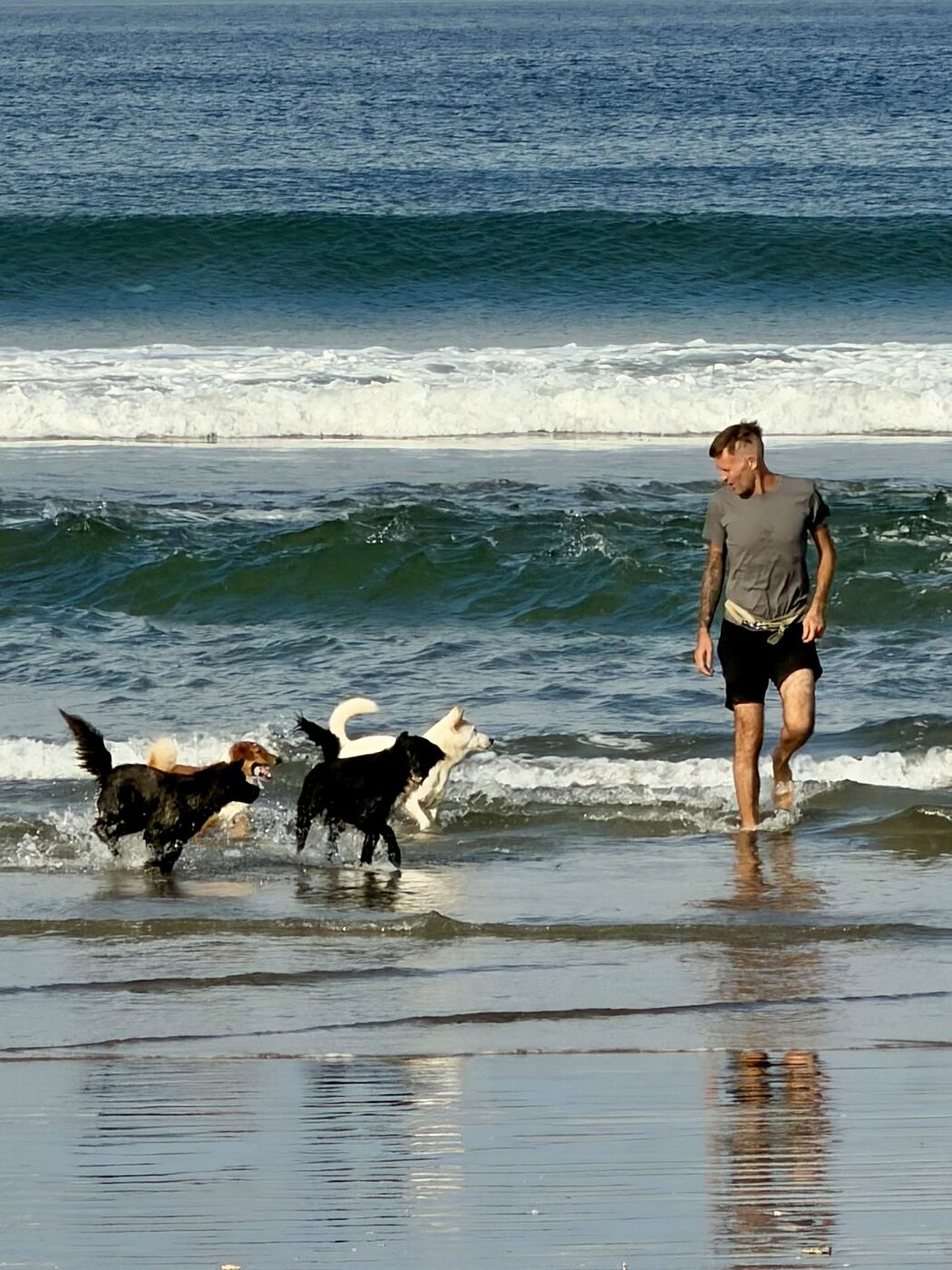 Stephan Mairesse training a dog