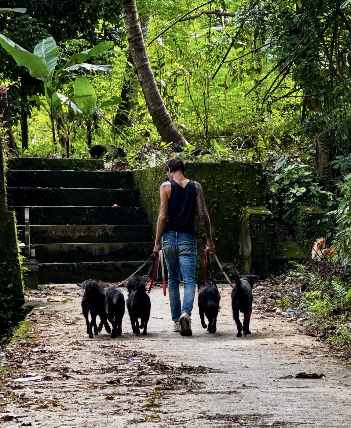 Stephan Mairesse with dogs