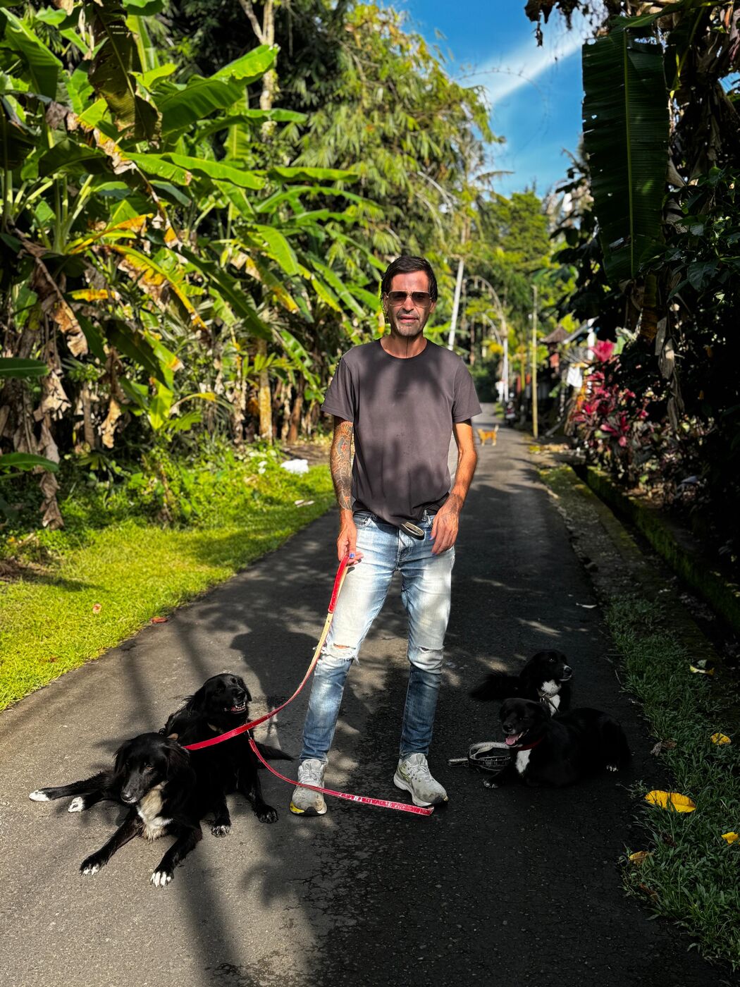 Stephan Mairesse with dogs