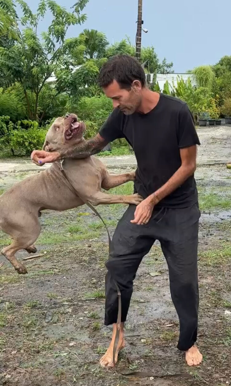 Stephan Mairesse with a dog