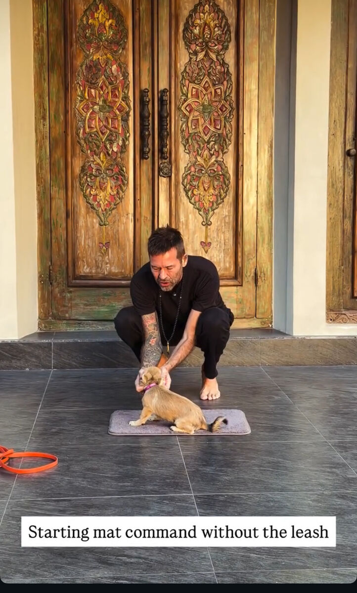 Stephan Mairesse with a dog