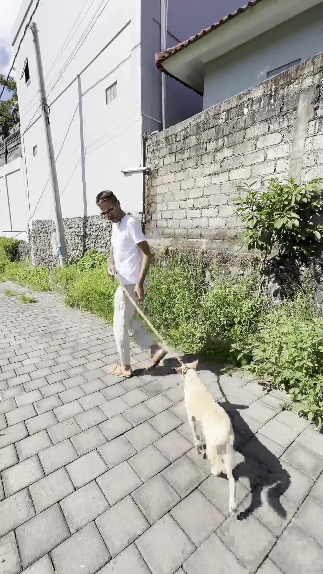 Stephan Mairesse with a dog