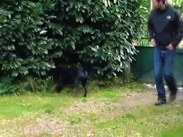 Stephan Mairesse with a dog